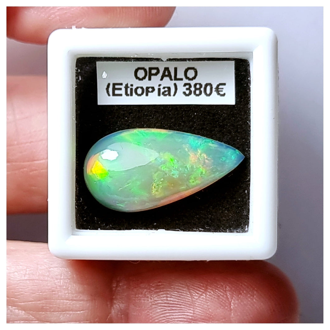 -OPALO ETIOPÍA-