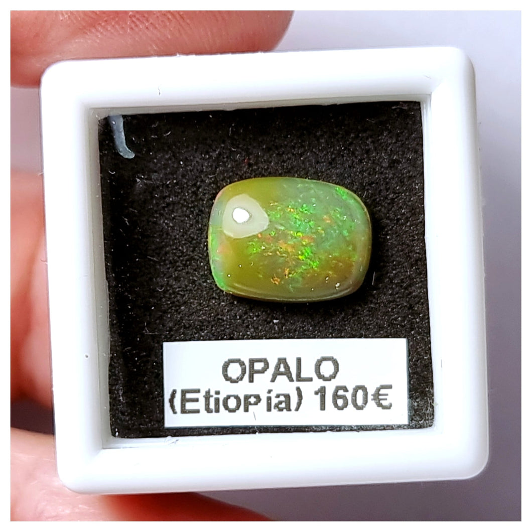 -OPALO ETIOPÍA-