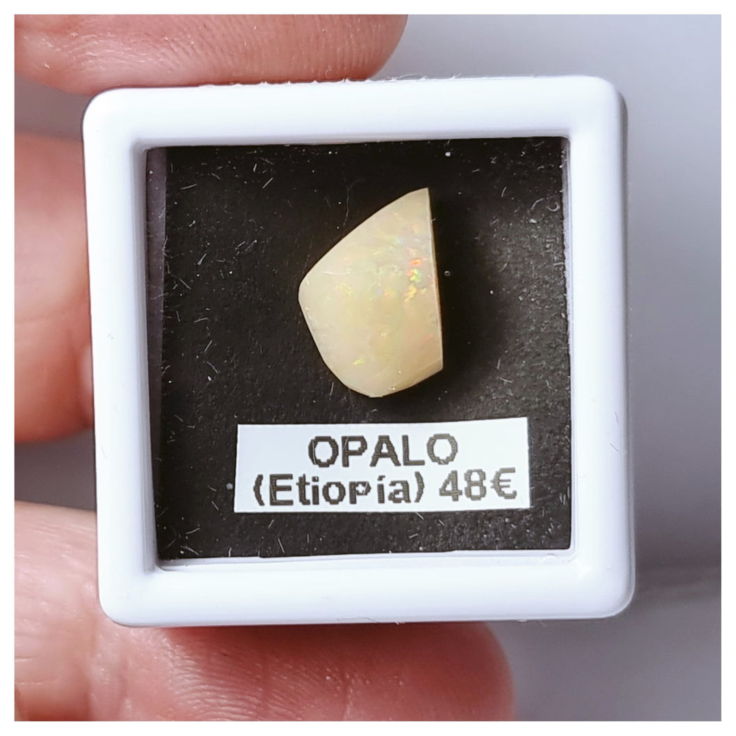 -OPALO ETIOPÍA-