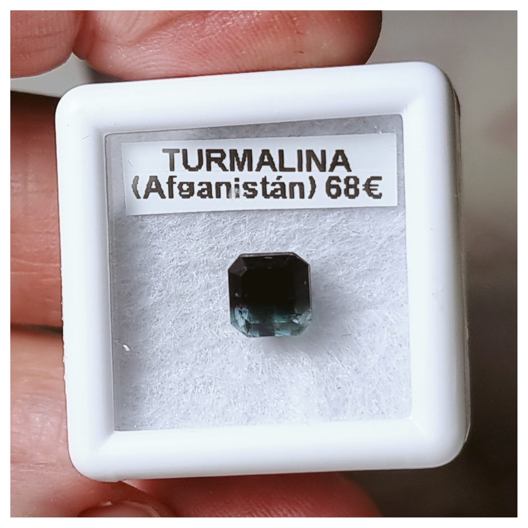 -TURMALINA BICOLOR-