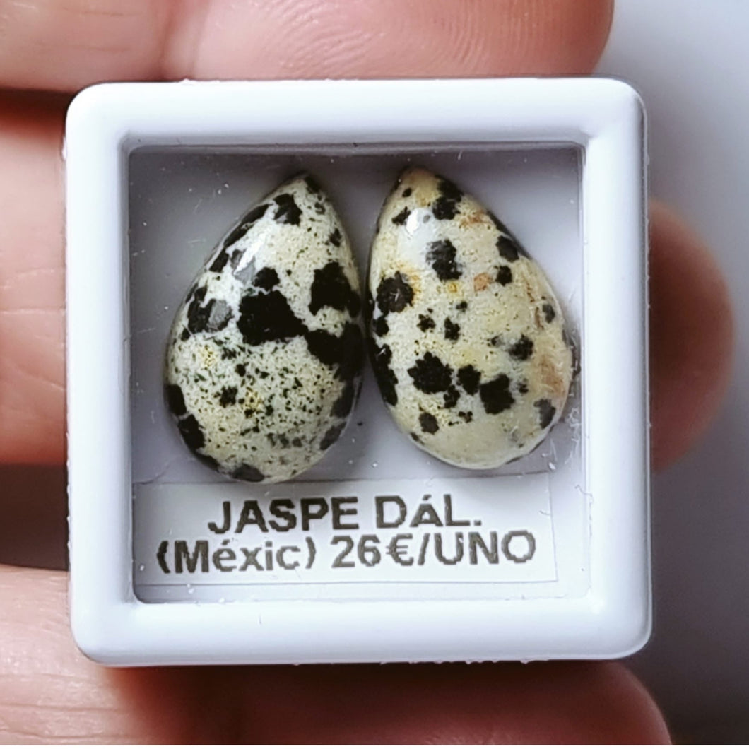 -JASPE DÁLMATA-