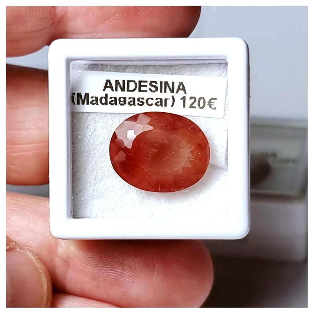 -ANDESINA-