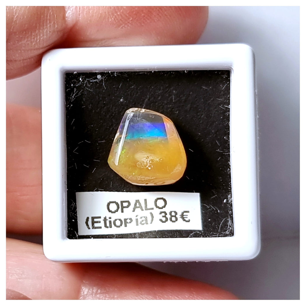 -OPALO ETIOPÍA-