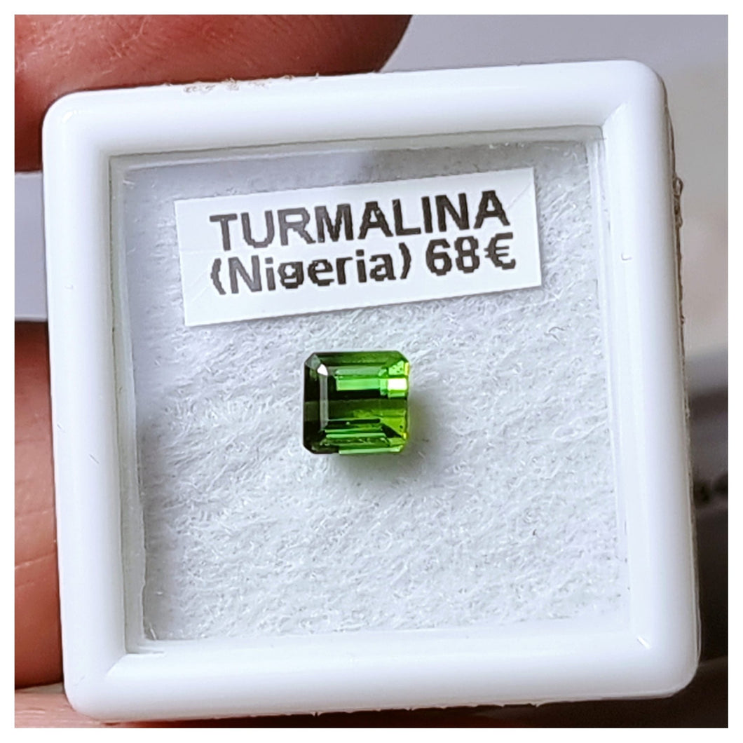 -TURMALINA-