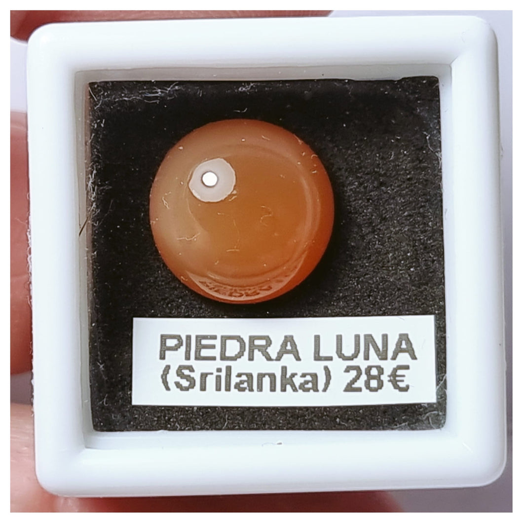 -PIEDRA LUNA-