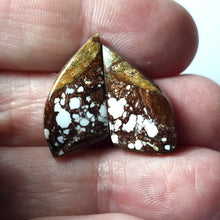 Cargar imagen en el visor de la galería, -JASPE-
