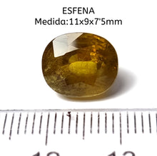 Cargar imagen en el visor de la galería, -ESFENA-
