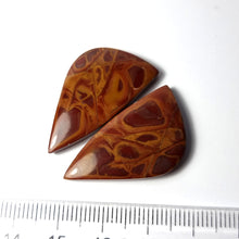 Cargar imagen en el visor de la galería, -MOAKITA-
