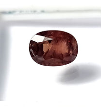 Cargar imagen en el visor de la galería, -ZAFIRO-
