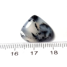 Cargar imagen en el visor de la galería, -ÓPALO DENDRÍTICO-
