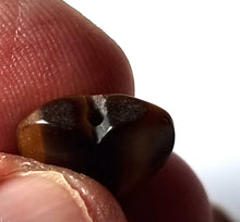 Cargar imagen en el visor de la galería, -OJO de TIGRE-
