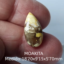 Cargar imagen en el visor de la galería, -MOAKITA-
