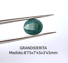 Cargar imagen en el visor de la galería, -GRANDIDERITA-
