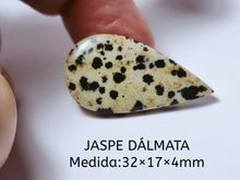 Cargar imagen en el visor de la galería, -JASPE DÁLMATA-
