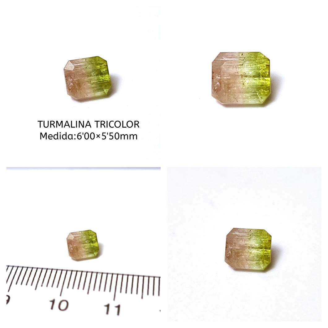 -TURMALINA TRICOLOR-