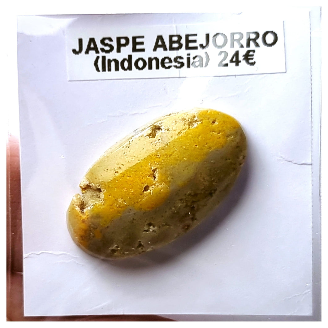 -JASPE ABEJORRO-