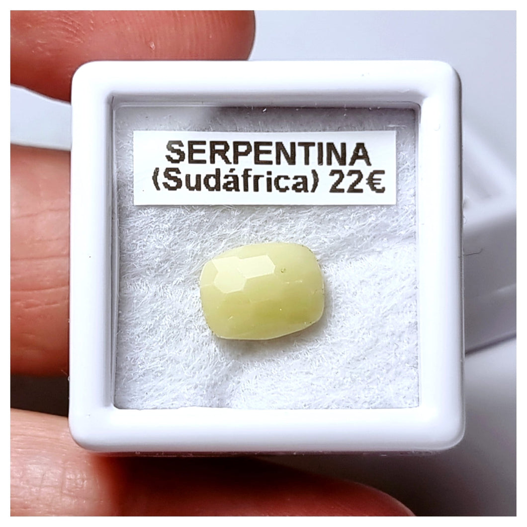 -SERPENTINA-