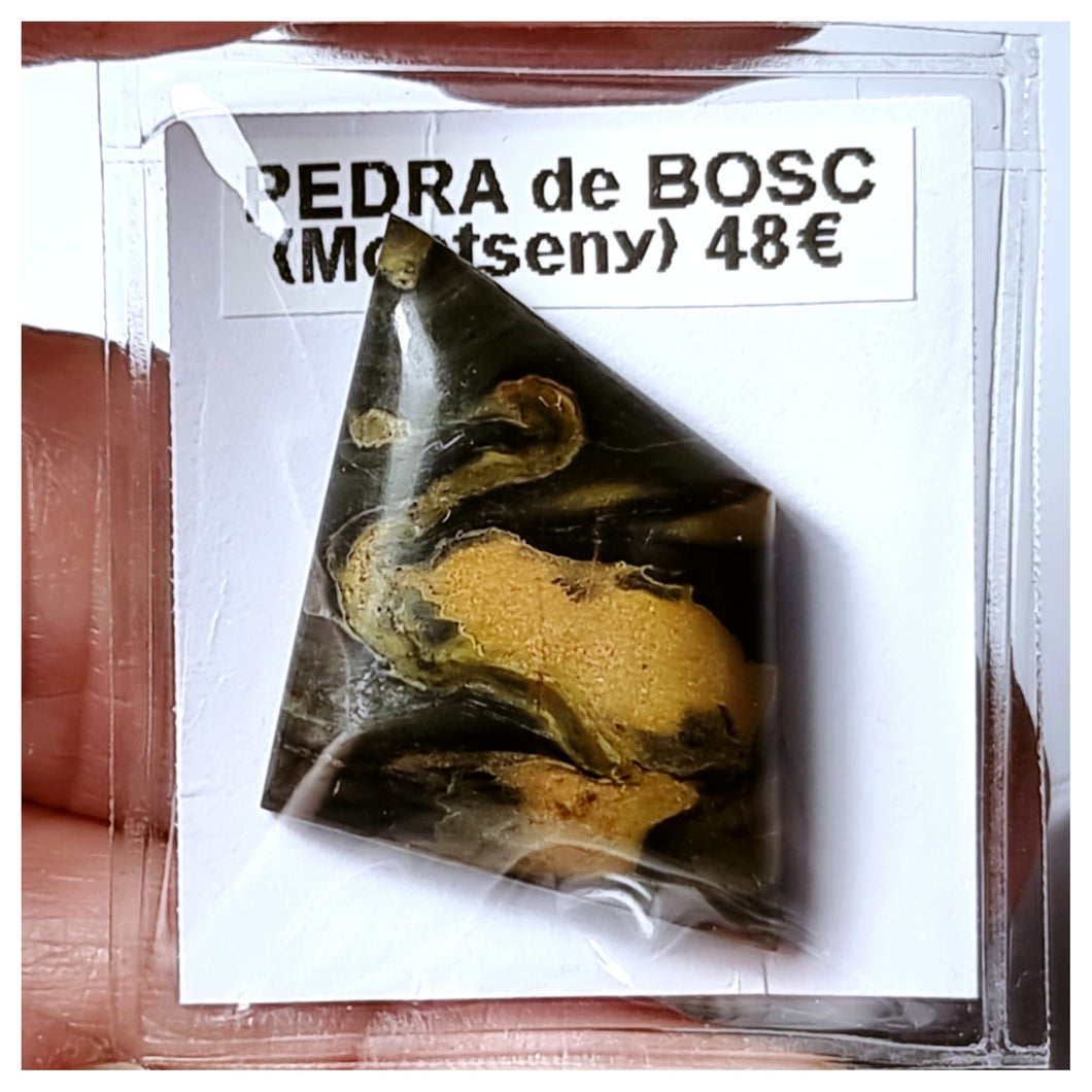 -PIEDRA DE BOSQUE-