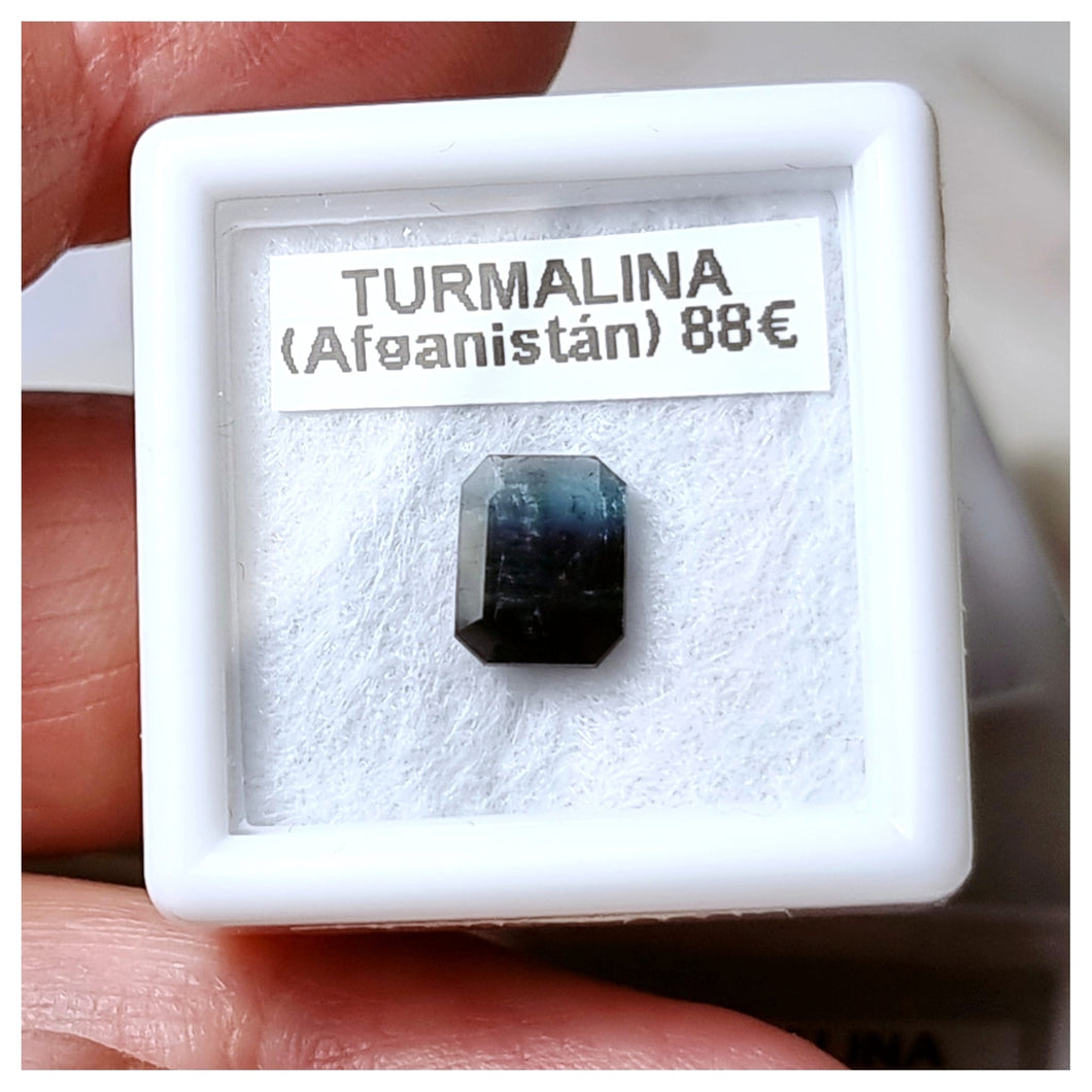 -TURMALINA BICOLOR-