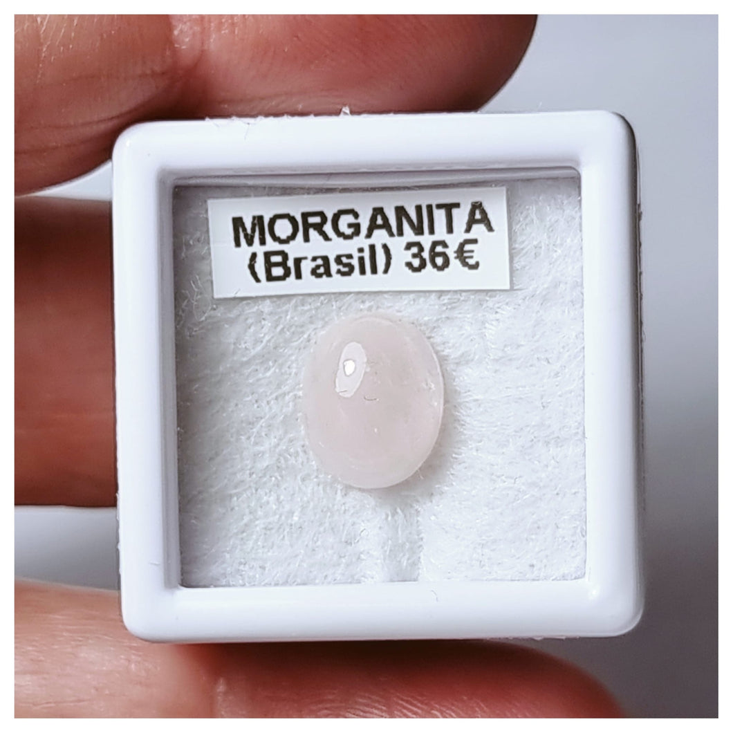 -MORGANITA-