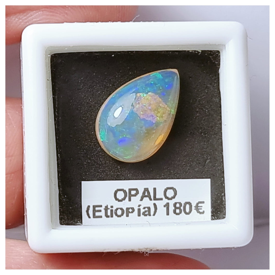-OPALO ETIOPÍA-