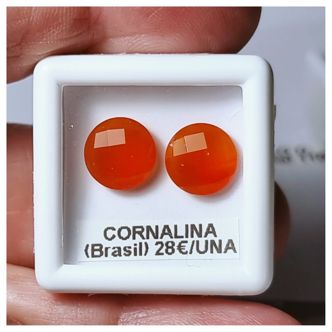 -CORNALINA-