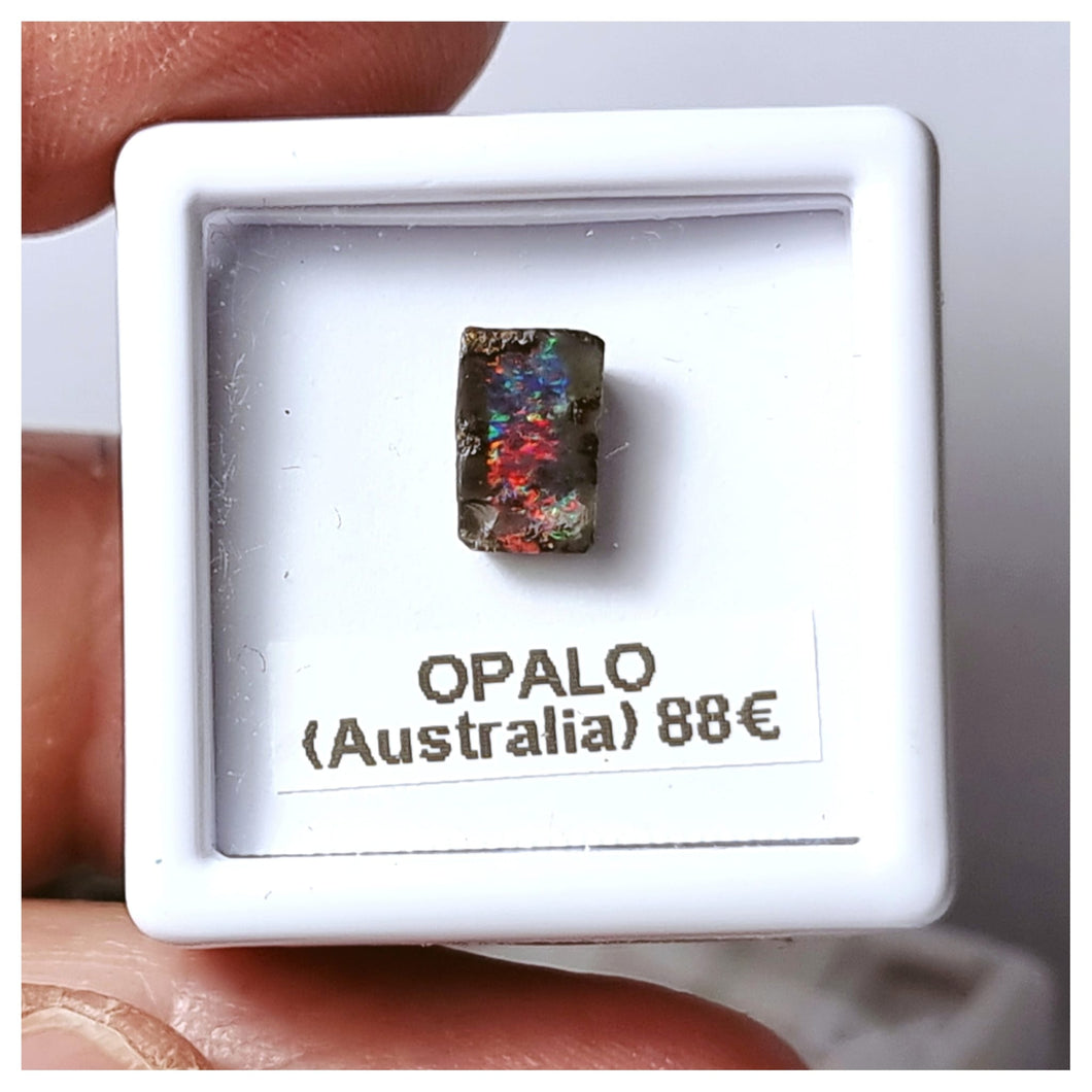 -ÓPALO AUSTRALIANO-