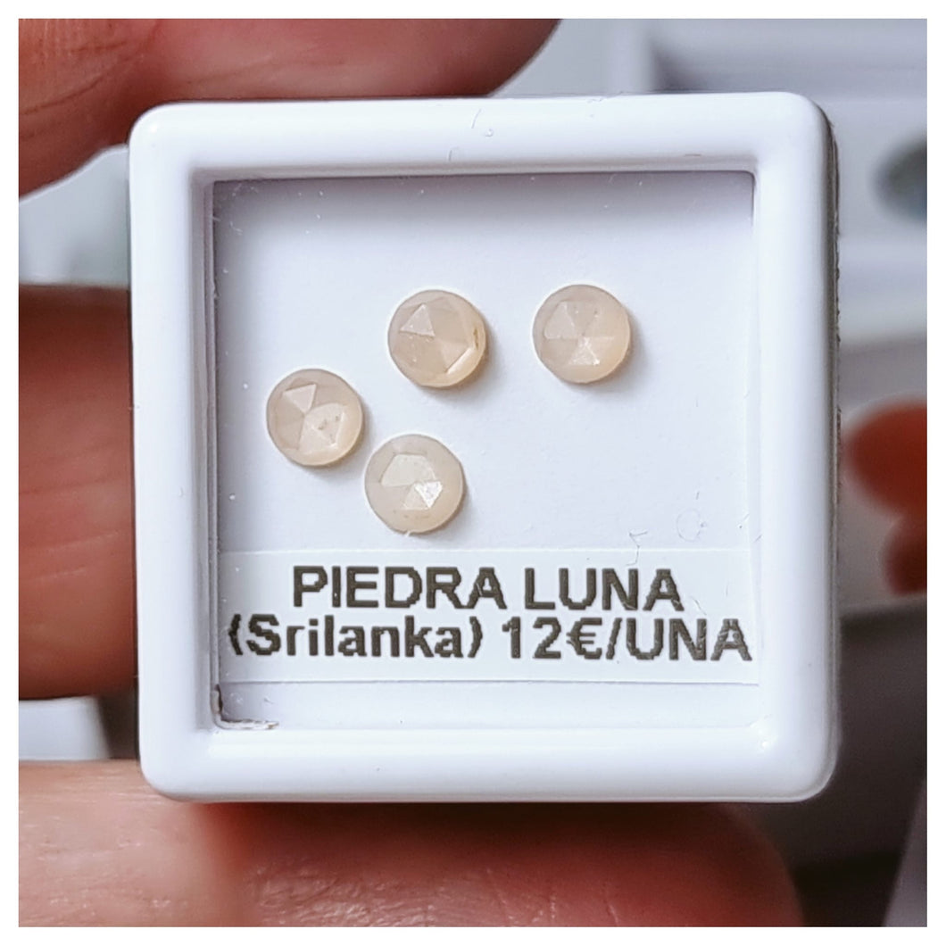 -PIEDRA LUNA-