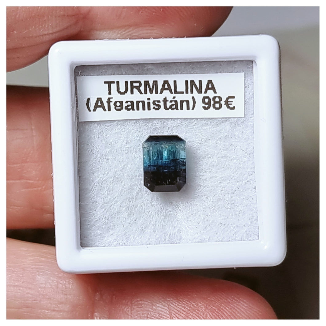 -TURMALINA BICOLOR-