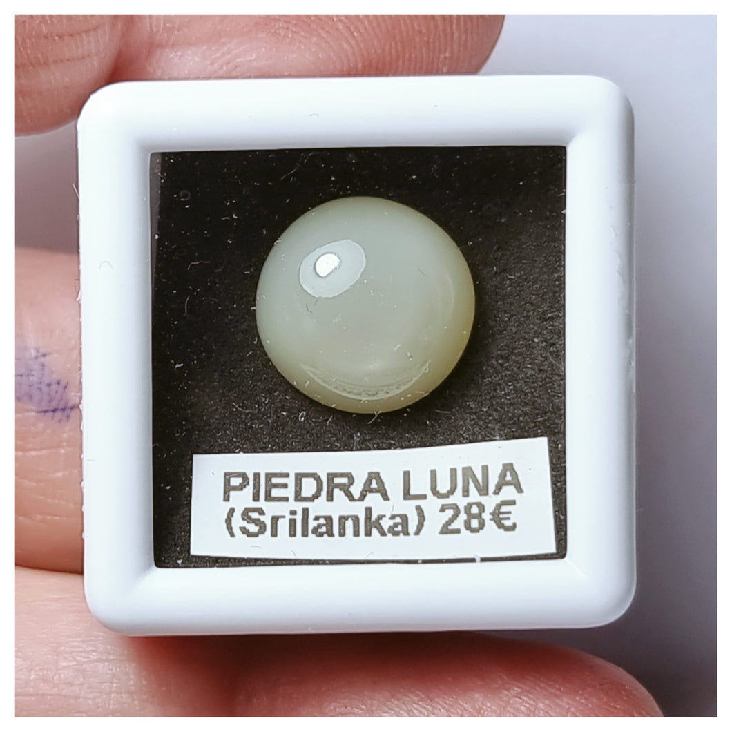 -PIEDRA LUNA-