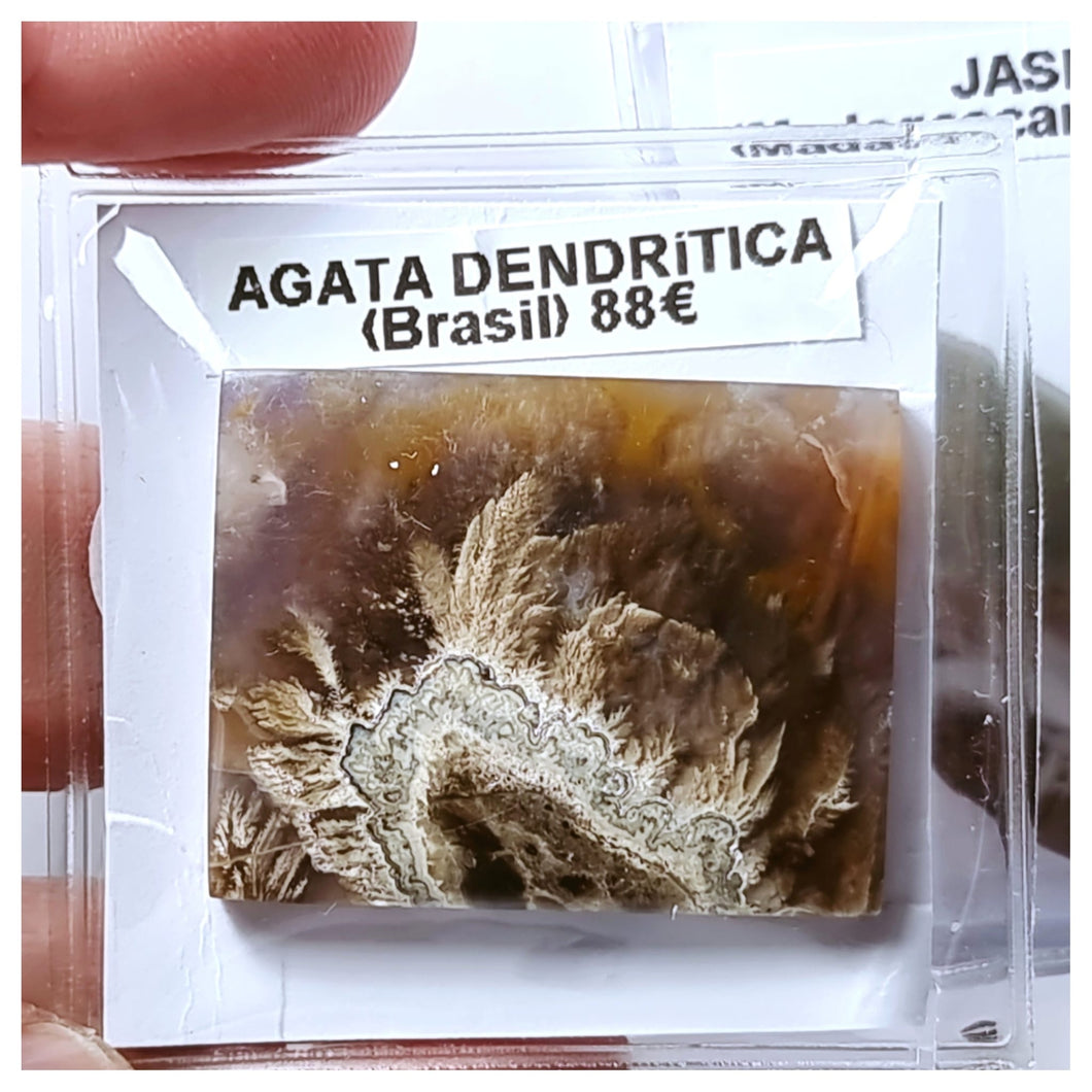 -ÁGATA DENDRÍTICA-