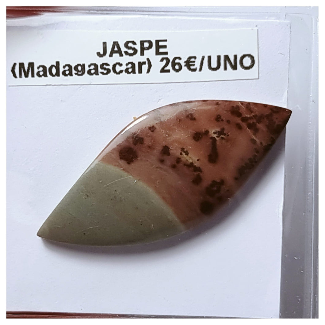 -JASPE-