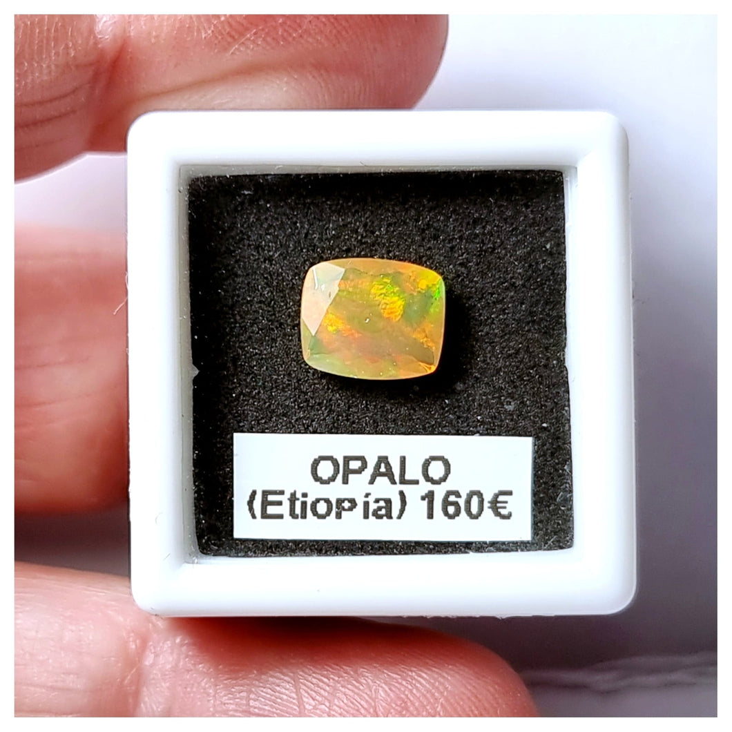 -OPALO ETIOPÍA-