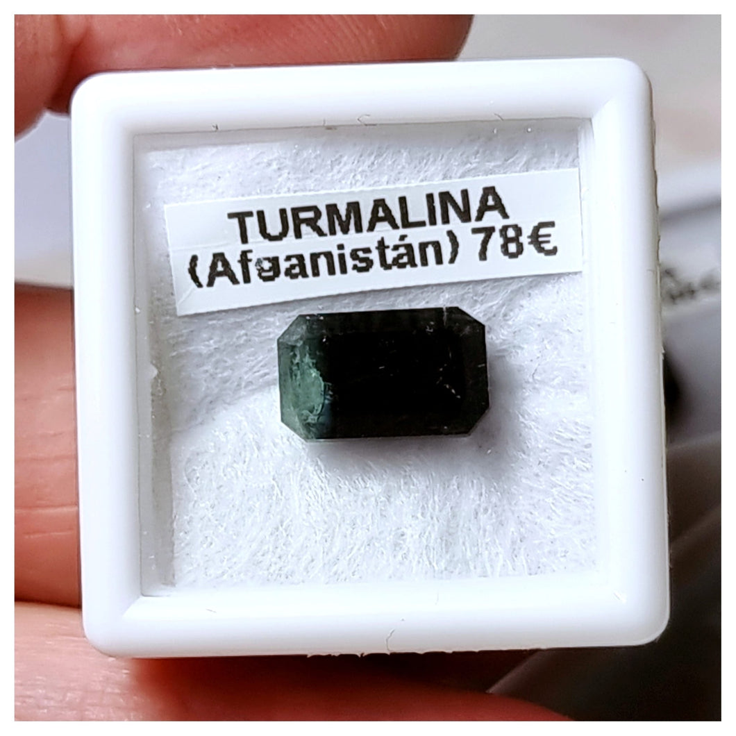 -TURMALINA BICOLOR-