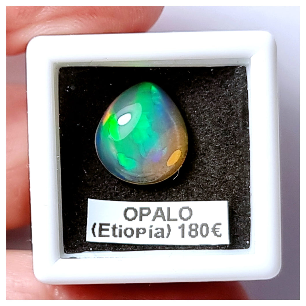 -OPALO ETIOPÍA-