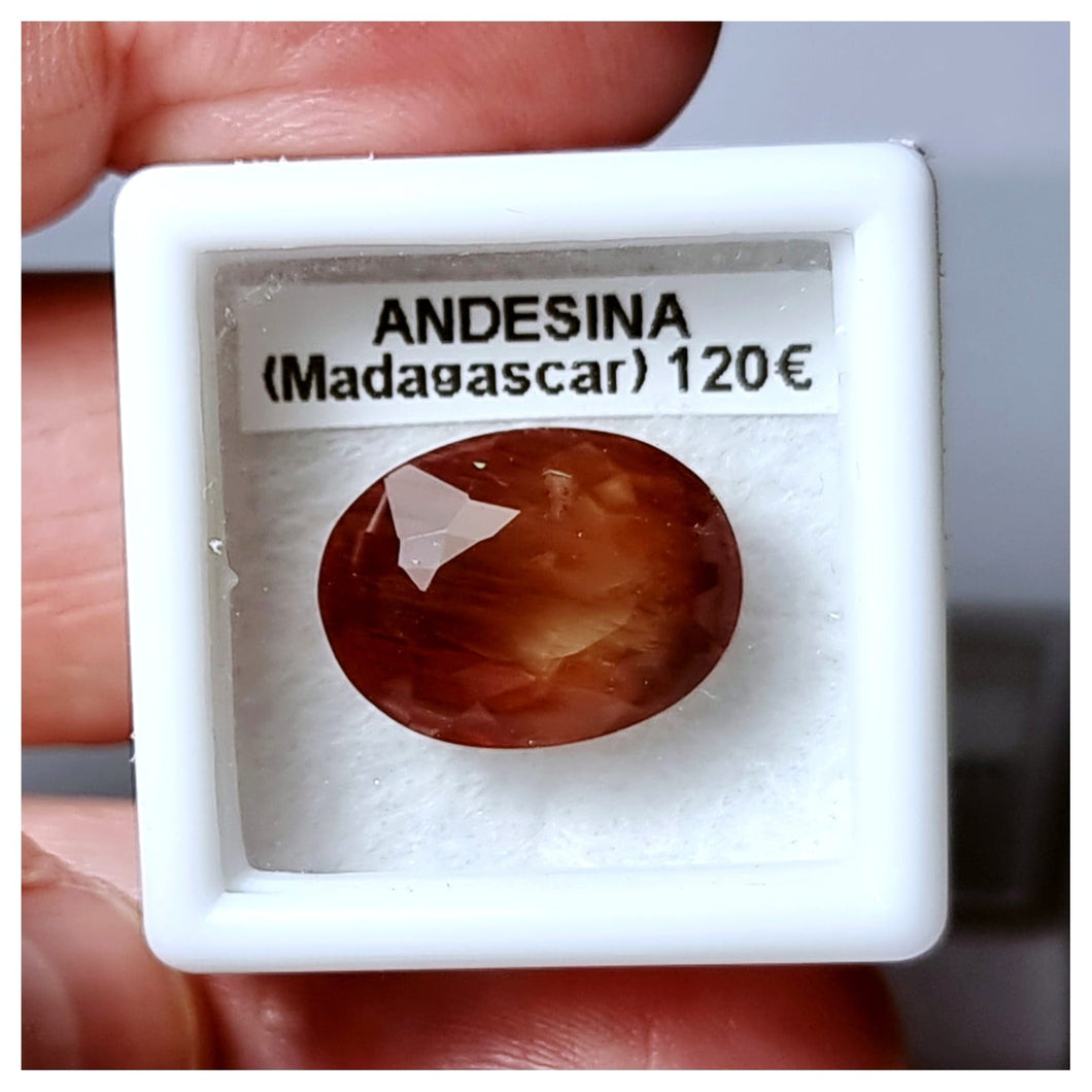 -ANDESINA-
