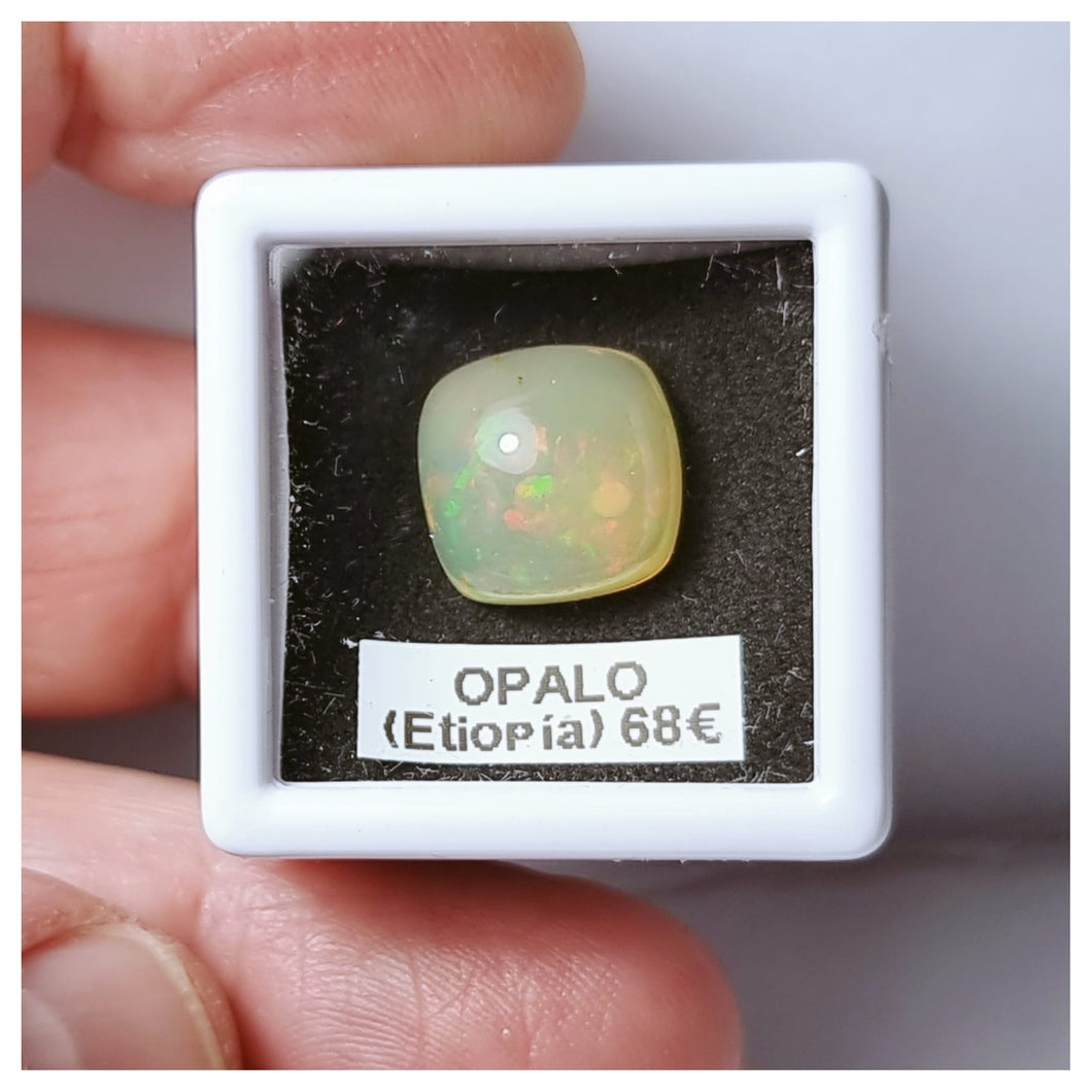 -OPALO ETIOPÍA-