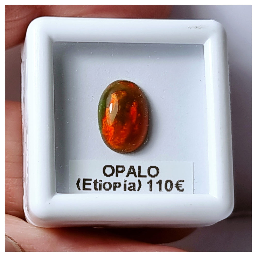 -ÓPALO ETIOPÍA-