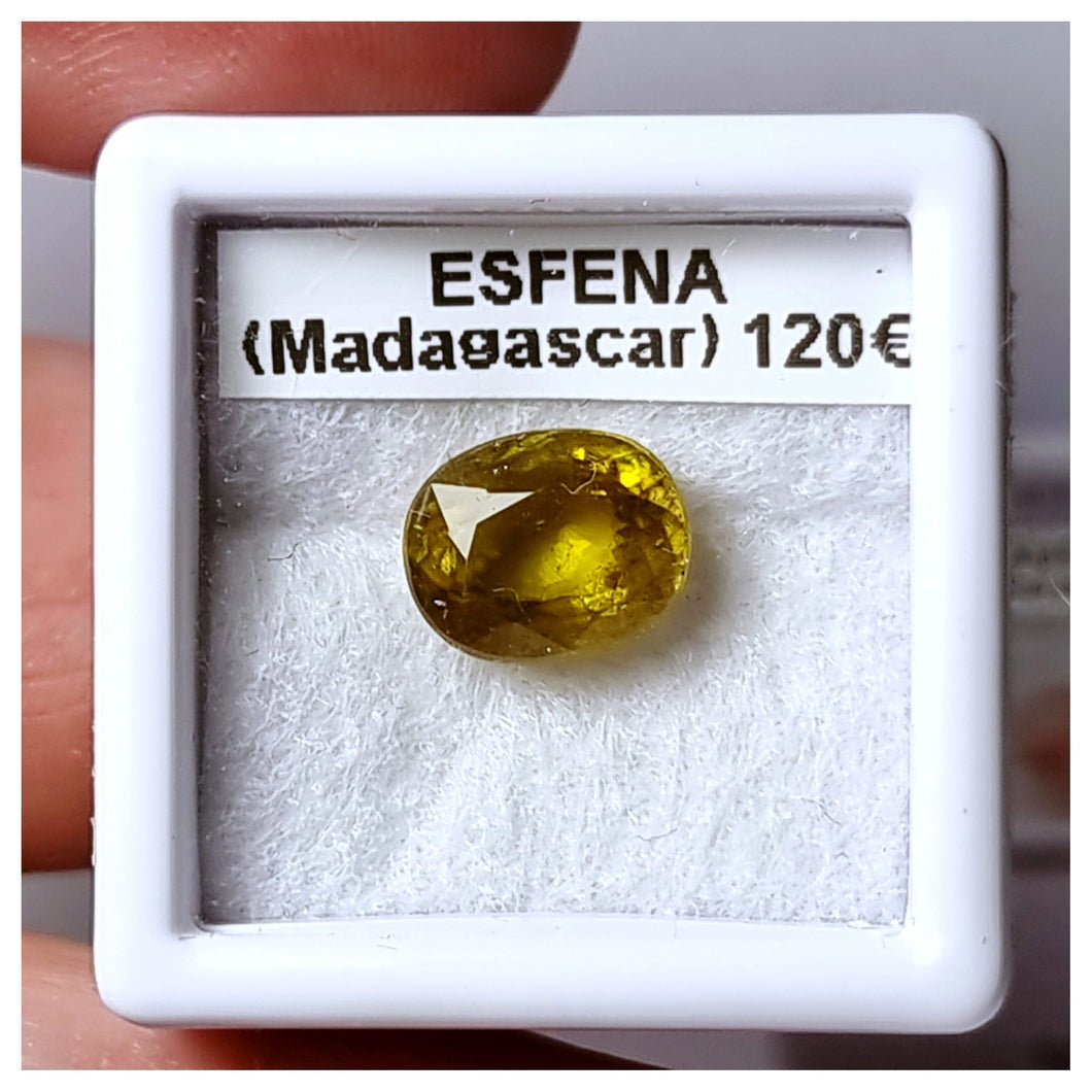 -ESFENA-