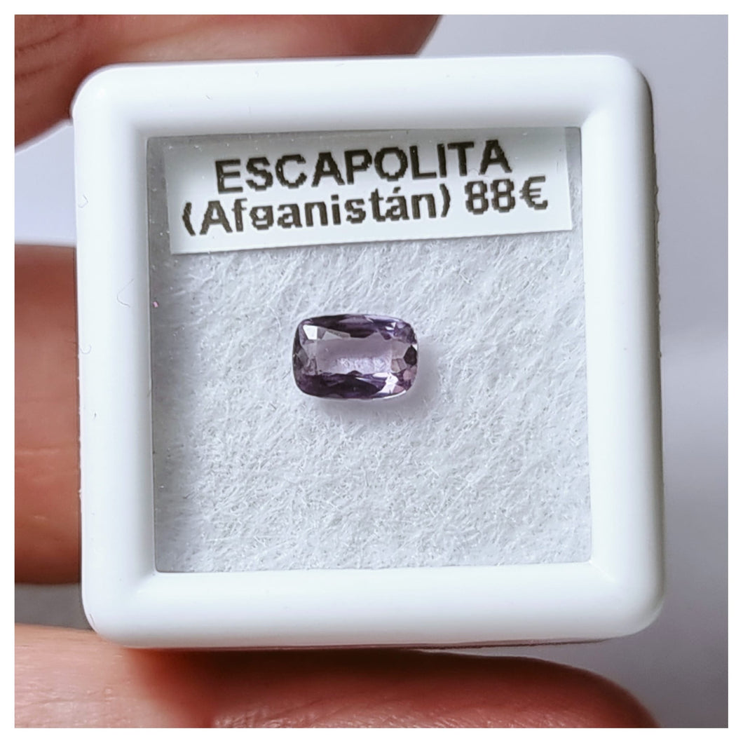 -ESCAPOLITA-