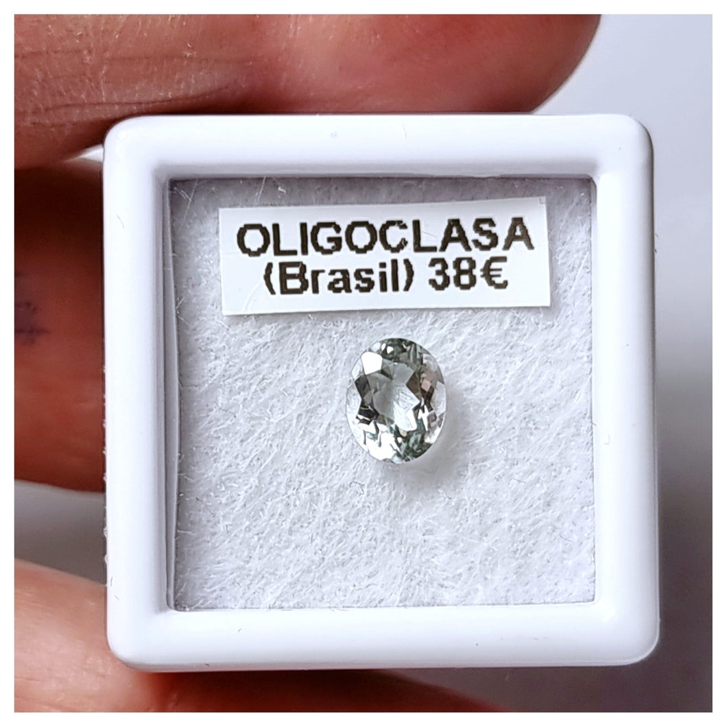 -OLIGOCLASA-