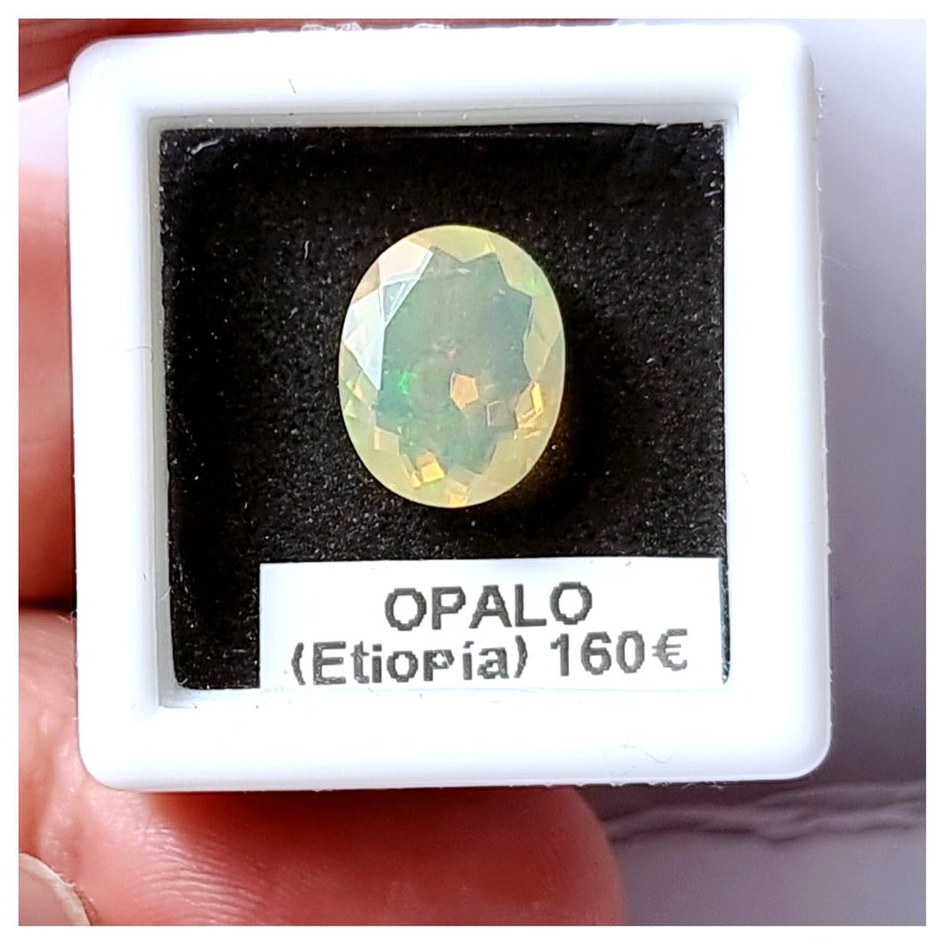 -OPALO ETIOPÍA-