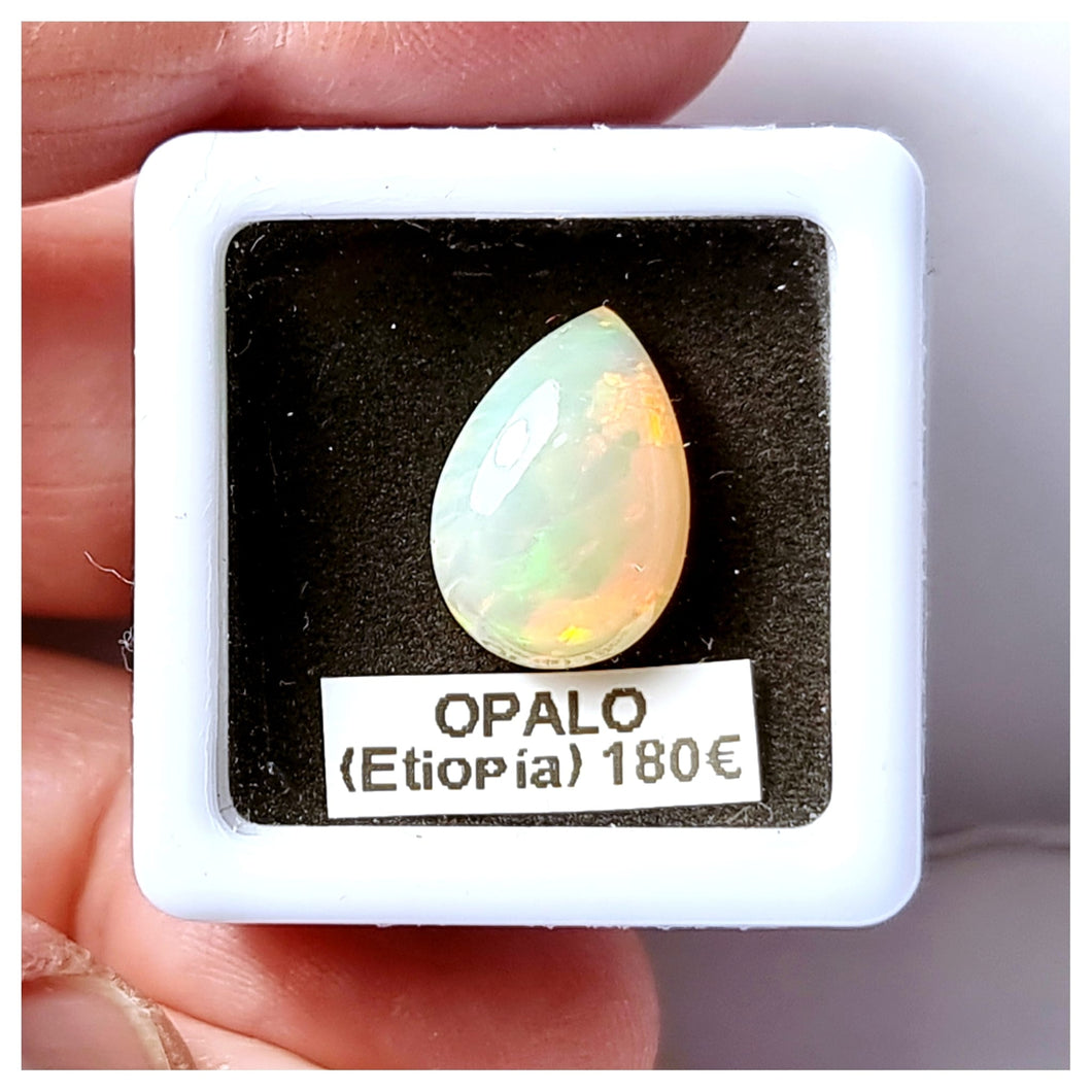 -OPALO ETIOPÍA-