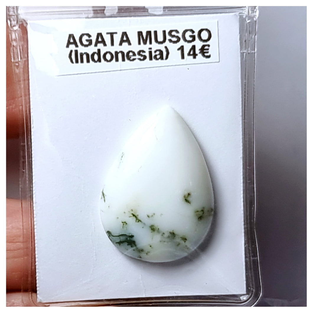 -ÁGATA MUSGOSA-