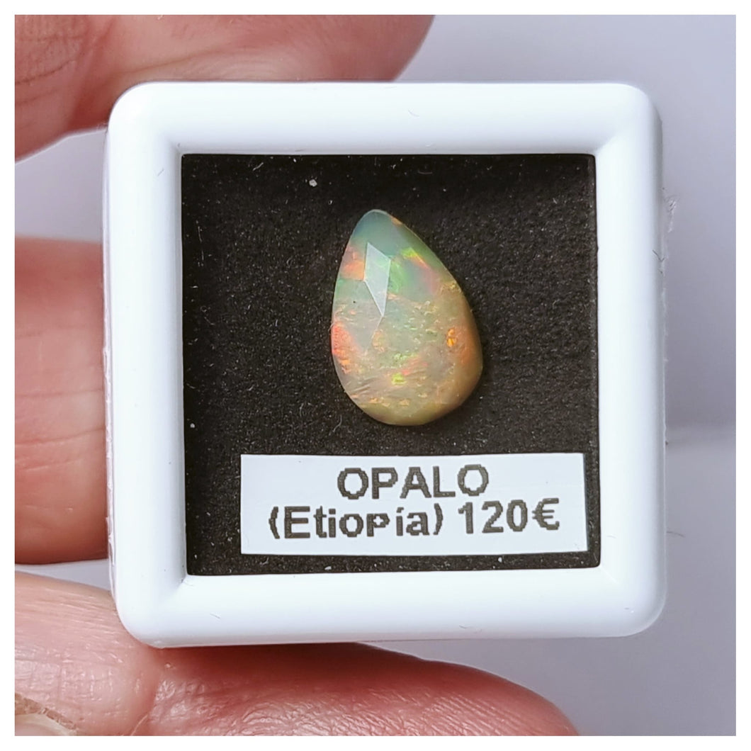 -OPALO ETIOPÍA-