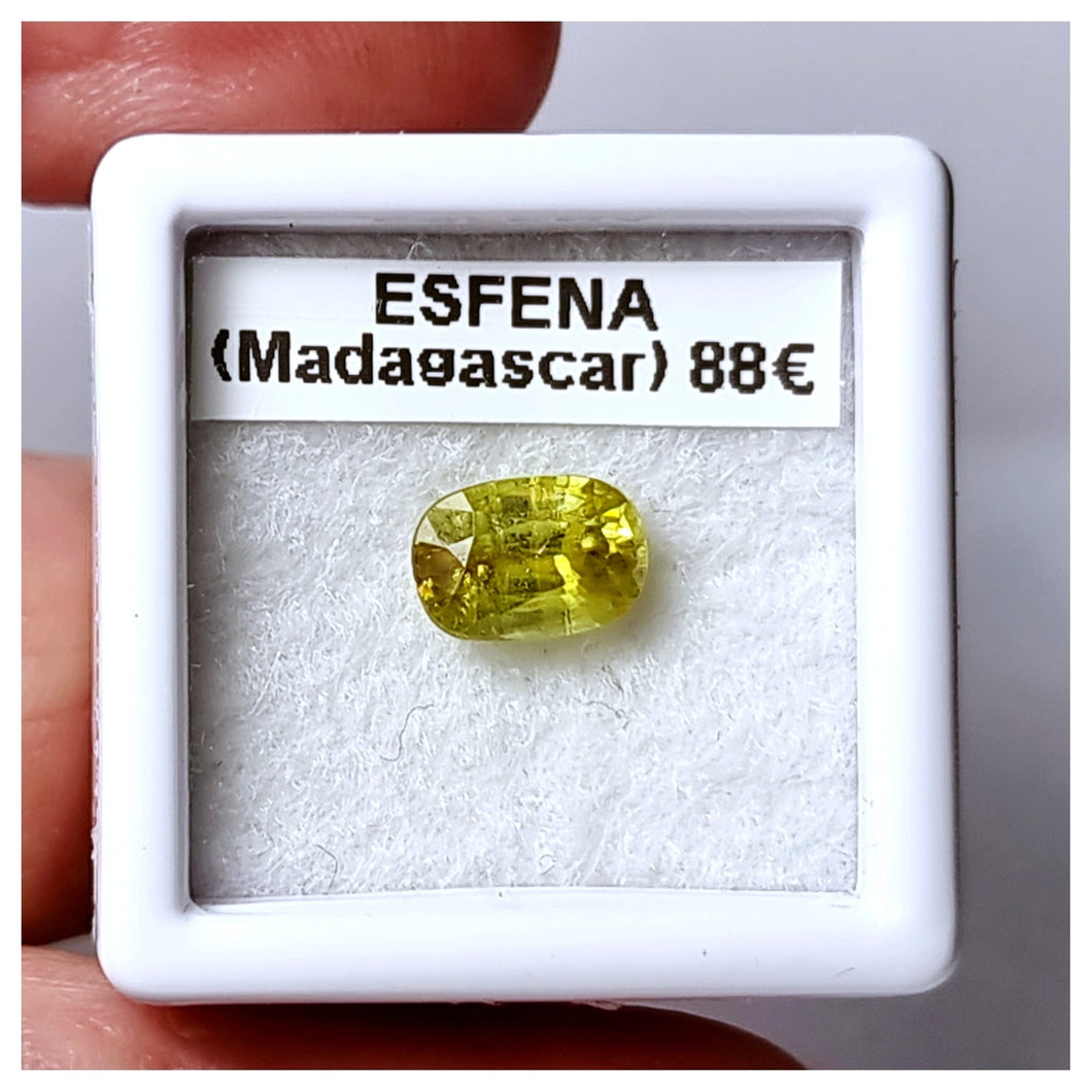 -ESFENA-