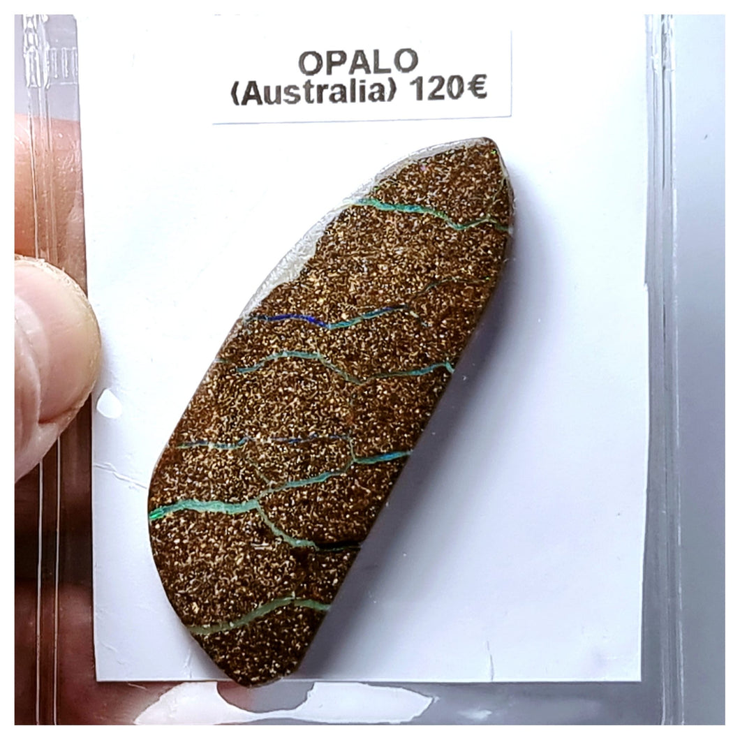 -OPALO AUSTRALIANO-