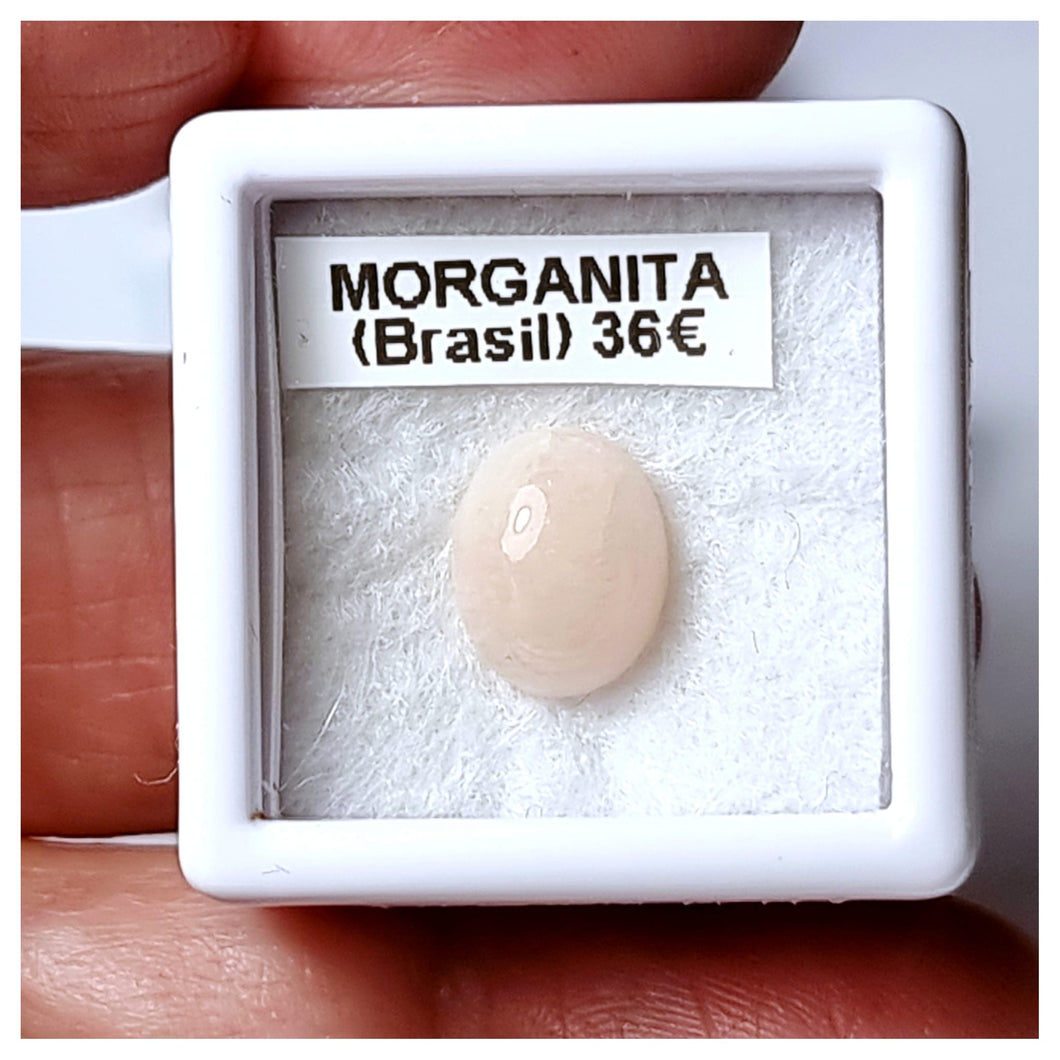 -MORGANITA-