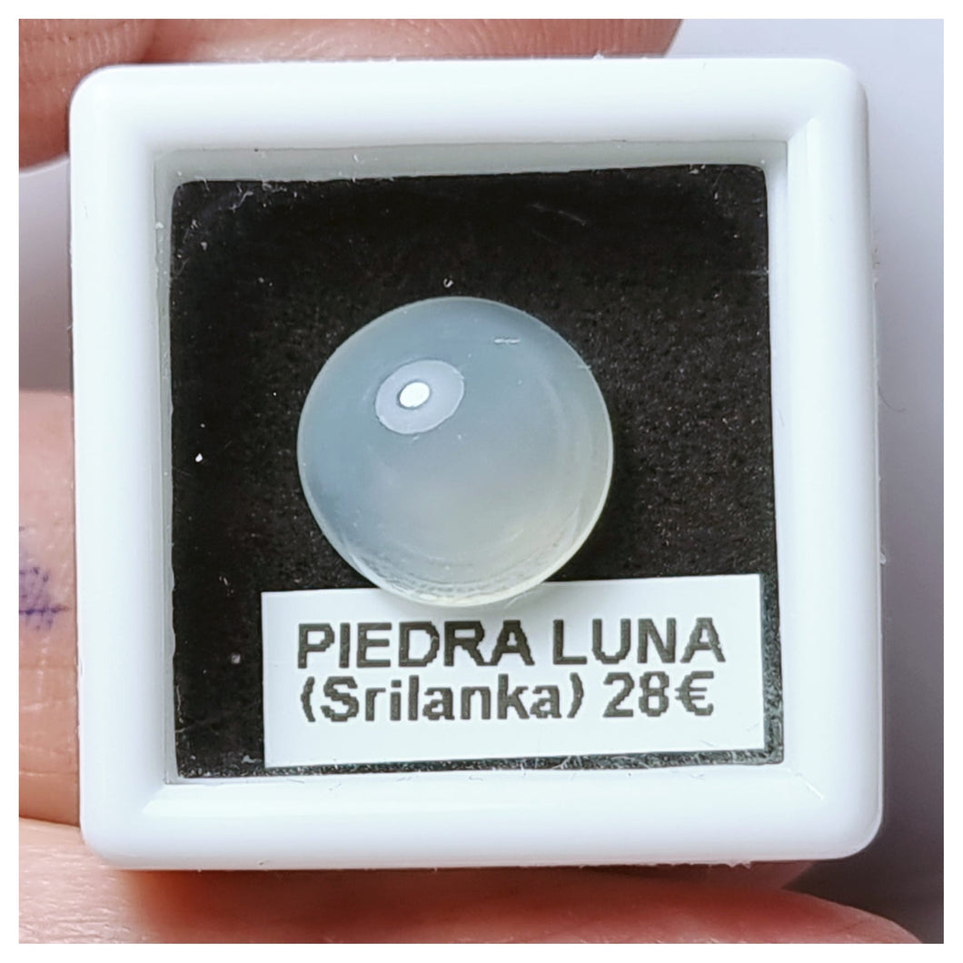 -PIEDRA LUNA-