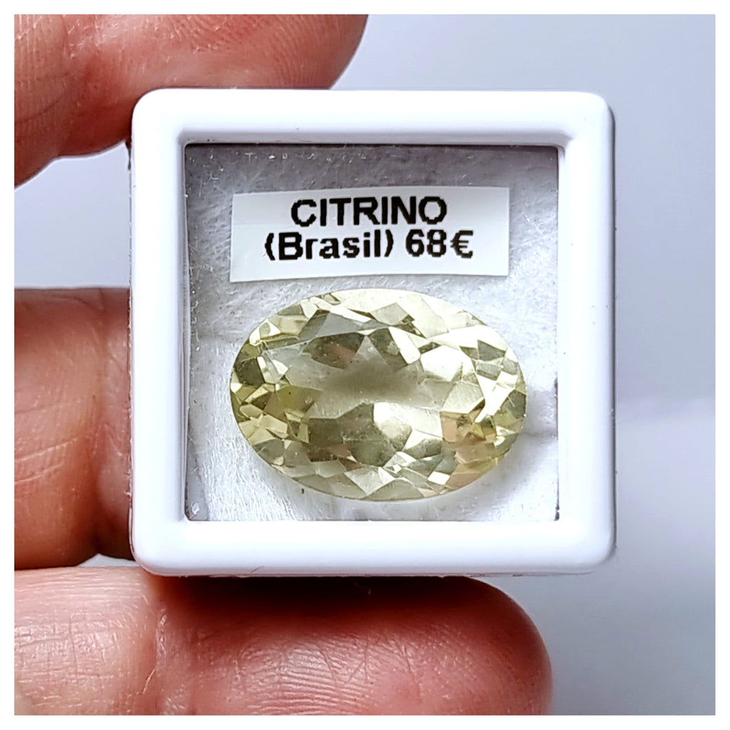 -CITRINO-